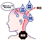 イラスト：頭皮マッサージで毒素は排出する図